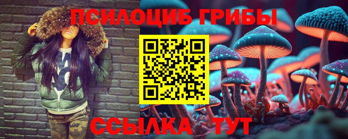 Мичуринск  Псилоцибиновые грибы ЛСД  Вход с VPN  Галлюциногенные грибы Cubensis 